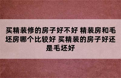 买精装修的房子好不好 精装房和毛坯房哪个比较好 买精装的房子好还是毛坯好